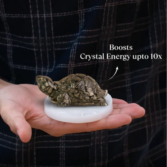 Dhan Raksha Pyrite Tortoise w/ Free Selenite Plate